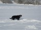 Thumbs/tn_Img_0572.jpg